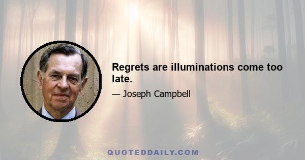 Regrets are illuminations come too late.