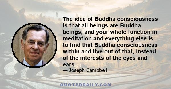 The idea of Buddha consciousness is that all beings are Buddha beings, and your whole function in meditation and everything else is to find that Buddha consciousness within and live out of that, instead of the interests 