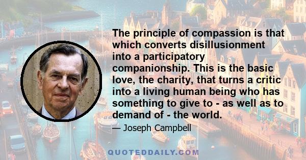 The principle of compassion is that which converts disillusionment into a participatory companionship. This is the basic love, the charity, that turns a critic into a living human being who has something to give to - as 