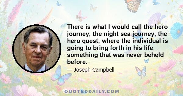 There is what I would call the hero journey, the night sea journey, the hero quest, where the individual is going to bring forth in his life something that was never beheld before.