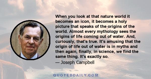 When you look at that nature world it becomes an icon, it becomes a holy picture that speaks of the origins of the world. Almost every mythology sees the origins of life coming out of water. And, curiously, that's true. 