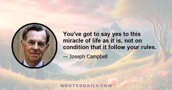 You've got to say yes to this miracle of life as it is, not on condition that it follow your rules.