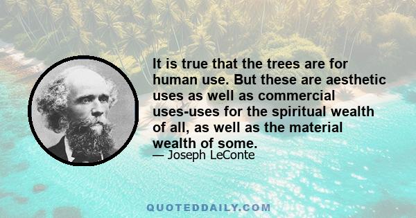 It is true that the trees are for human use. But these are aesthetic uses as well as commercial uses-uses for the spiritual wealth of all, as well as the material wealth of some.