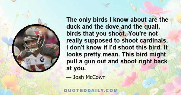 The only birds I know about are the duck and the dove and the quail, birds that you shoot. You're not really supposed to shoot cardinals. I don't know if I'd shoot this bird. It looks pretty mean. This bird might pull a 