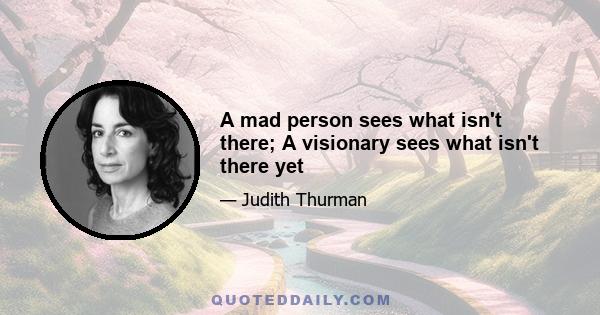 A mad person sees what isn't there; A visionary sees what isn't there yet