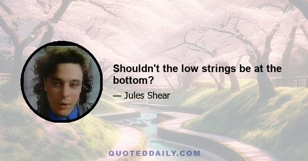 Shouldn't the low strings be at the bottom?