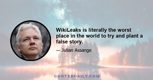 WikiLeaks is literally the worst place in the world to try and plant a false story.