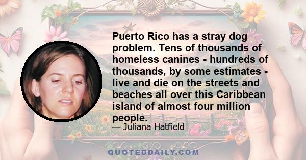 Puerto Rico has a stray dog problem. Tens of thousands of homeless canines - hundreds of thousands, by some estimates - live and die on the streets and beaches all over this Caribbean island of almost four million