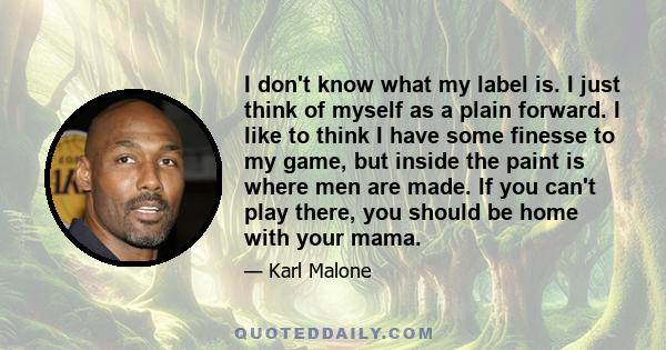 I don't know what my label is. I just think of myself as a plain forward. I like to think I have some finesse to my game, but inside the paint is where men are made. If you can't play there, you should be home with your 