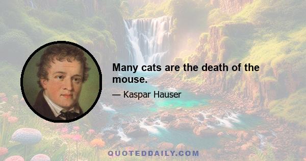 Many cats are the death of the mouse.