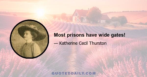 Most prisons have wide gates!