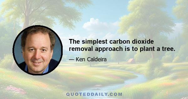 The simplest carbon dioxide removal approach is to plant a tree.