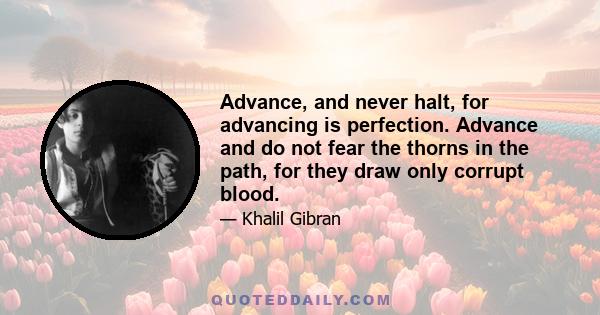 Advance, and never halt, for advancing is perfection. Advance and do not fear the thorns in the path, for they draw only corrupt blood.