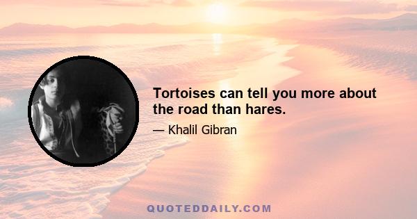 Tortoises can tell you more about the road than hares.