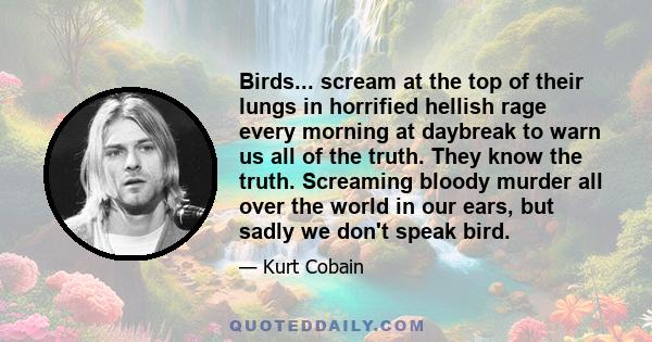 Birds... scream at the top of their lungs in horrified hellish rage every morning at daybreak to warn us all of the truth. They know the truth. Screaming bloody murder all over the world in our ears, but sadly we don't