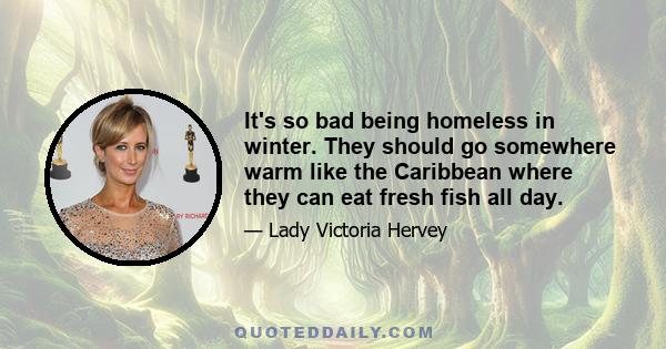 It's so bad being homeless in winter. They should go somewhere warm like the Caribbean where they can eat fresh fish all day.