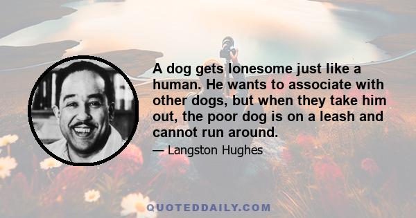 A dog gets lonesome just like a human. He wants to associate with other dogs, but when they take him out, the poor dog is on a leash and cannot run around.