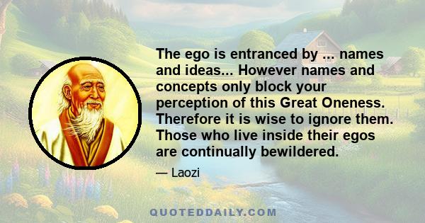 The ego is entranced by ... names and ideas... However names and concepts only block your perception of this Great Oneness. Therefore it is wise to ignore them. Those who live inside their egos are continually