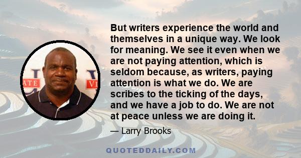 But writers experience the world and themselves in a unique way. We look for meaning. We see it even when we are not paying attention, which is seldom because, as writers, paying attention is what we do. We are scribes