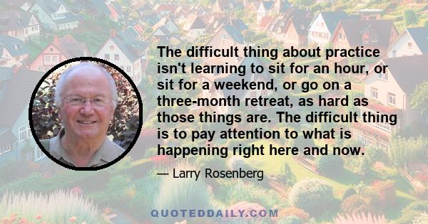 The difficult thing about practice isn't learning to sit for an hour, or sit for a weekend, or go on a three-month retreat, as hard as those things are. The difficult thing is to pay attention to what is happening right 