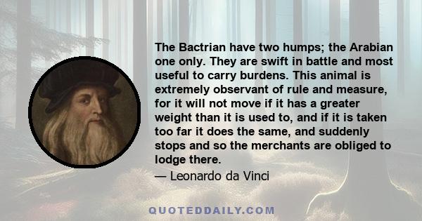 The Bactrian have two humps; the Arabian one only. They are swift in battle and most useful to carry burdens. This animal is extremely observant of rule and measure, for it will not move if it has a greater weight than