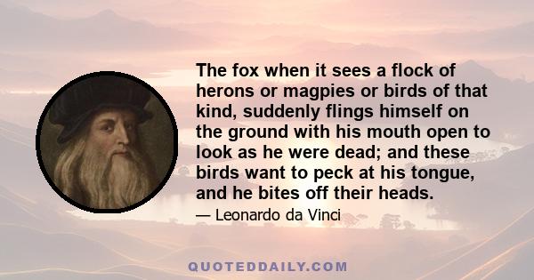 The fox when it sees a flock of herons or magpies or birds of that kind, suddenly flings himself on the ground with his mouth open to look as he were dead; and these birds want to peck at his tongue, and he bites off