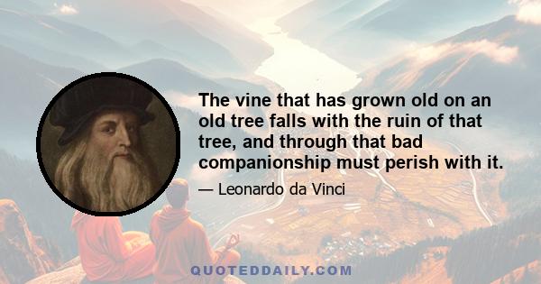 The vine that has grown old on an old tree falls with the ruin of that tree, and through that bad companionship must perish with it.