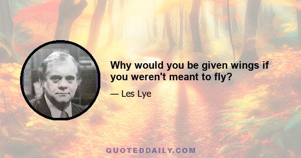 Why would you be given wings if you weren't meant to fly?