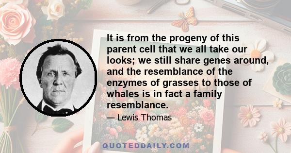 It is from the progeny of this parent cell that we all take our looks; we still share genes around, and the resemblance of the enzymes of grasses to those of whales is in fact a family resemblance.