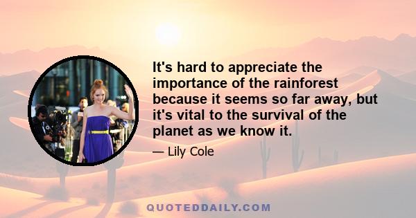 It's hard to appreciate the importance of the rainforest because it seems so far away, but it's vital to the survival of the planet as we know it.