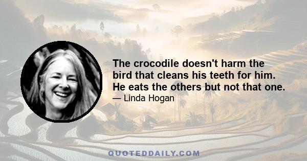 The crocodile doesn't harm the bird that cleans his teeth for him. He eats the others but not that one.