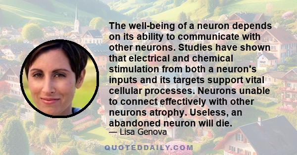 The well-being of a neuron depends on its ability to communicate with other neurons. Studies have shown that electrical and chemical stimulation from both a neuron's inputs and its targets support vital cellular