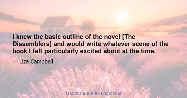 I knew the basic outline of the novel [The Dissemblers] and would write whatever scene of the book I felt particularly excited about at the time.