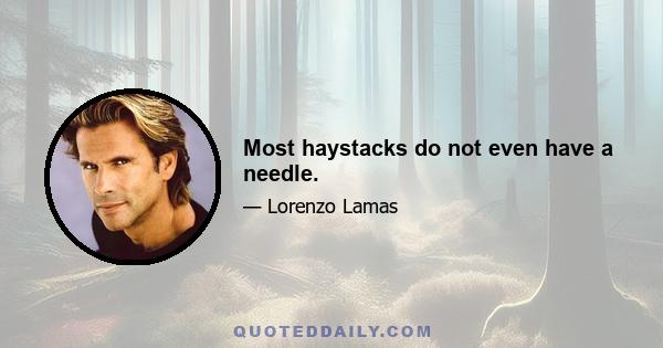 Most haystacks do not even have a needle.