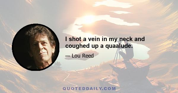 I shot a vein in my neck and coughed up a quaalude.