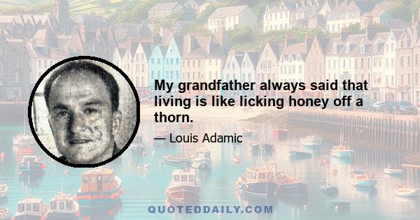 My grandfather always said that living is like licking honey off a thorn.