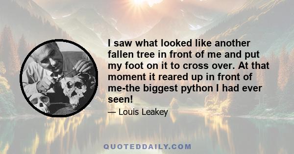 I saw what looked like another fallen tree in front of me and put my foot on it to cross over. At that moment it reared up in front of me-the biggest python I had ever seen!