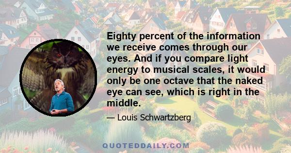 Eighty percent of the information we receive comes through our eyes. And if you compare light energy to musical scales, it would only be one octave that the naked eye can see, which is right in the middle.