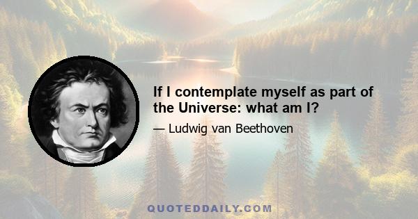 If I contemplate myself as part of the Universe: what am I?