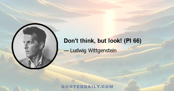 Don't think, but look! (PI 66)