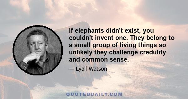 If elephants didn't exist, you couldn't invent one. They belong to a small group of living things so unlikely they challenge credulity and common sense.