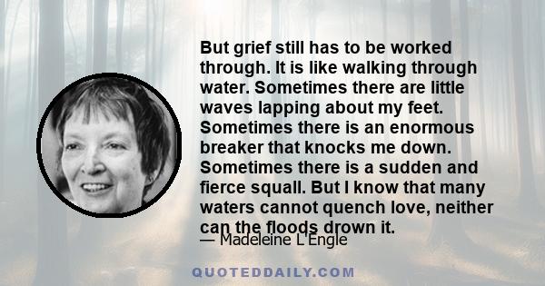 But grief still has to be worked through. It is like walking through water. Sometimes there are little waves lapping about my feet. Sometimes there is an enormous breaker that knocks me down. Sometimes there is a sudden 