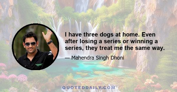 I have three dogs at home. Even after losing a series or winning a series, they treat me the same way.