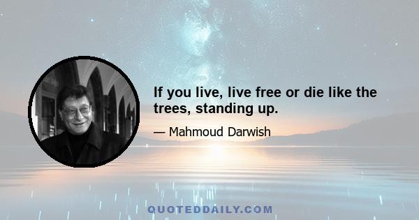 If you live, live free or die like the trees, standing up.