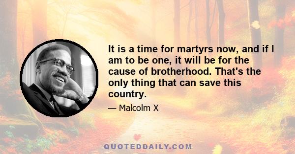 It is a time for martyrs now, and if I am to be one, it will be for the cause of brotherhood. That's the only thing that can save this country.