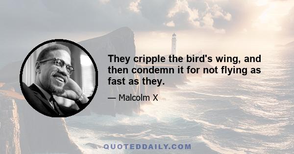 They cripple the bird's wing, and then condemn it for not flying as fast as they.