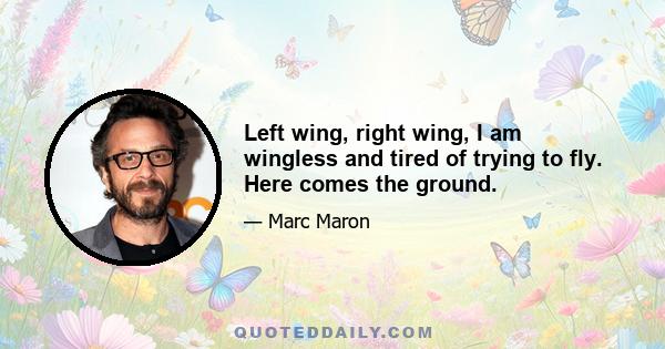 Left wing, right wing, I am wingless and tired of trying to fly. Here comes the ground.