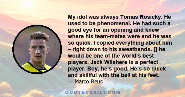 My idol was always Tomas Rosicky. He used to be phenomenal. He had such a good eye for an opening and knew where his team-mates were and he was so quick. I copied everything about him – right down to his sweatbands. []