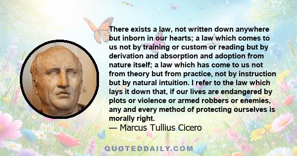 There exists a law, not written down anywhere but inborn in our hearts; a law which comes to us not by training or custom or reading but by derivation and absorption and adoption from nature itself; a law which has come 