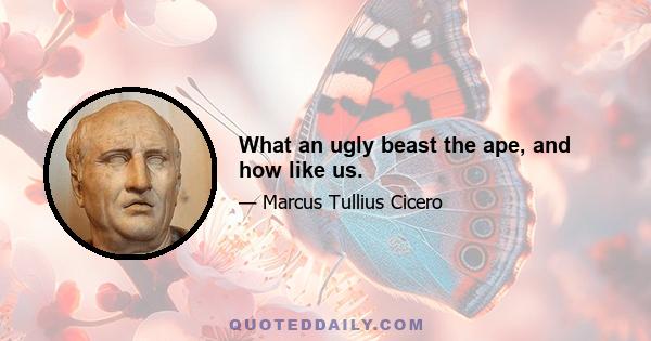 What an ugly beast the ape, and how like us.